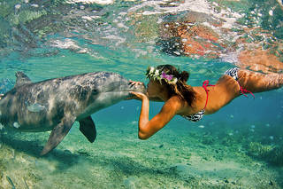 Girl with dolphin